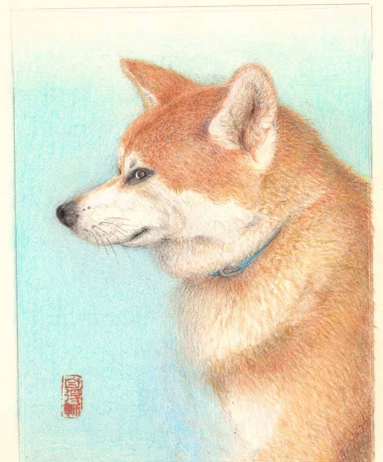 すべての色鉛筆画作品 | 大沼信之 ギャラリー白庵